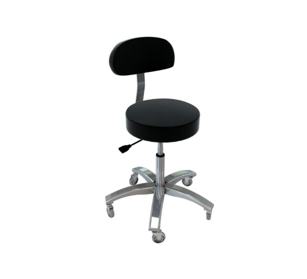 Pro Stool Plus Backrest All Purpose Model Choose Color 31002