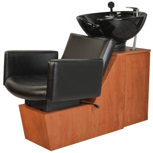 69AOS Add On Backwash Shampoo Unit