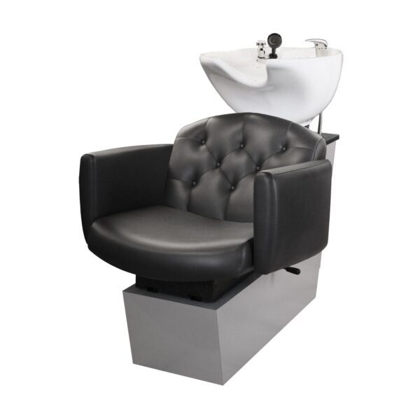 Ashton Backwash Shampoo Unit 8-10 Weeks