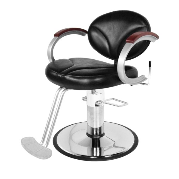 9110 All Purpose Hair Styling Chair