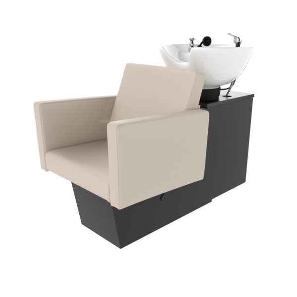 E2 Backwash Shampoo Unit USA Made