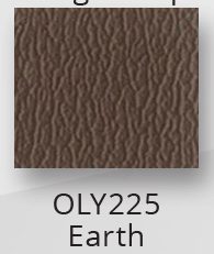 OLY225 Earth $0.00