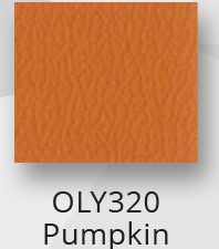 OLY320 Pumpkin $0.00