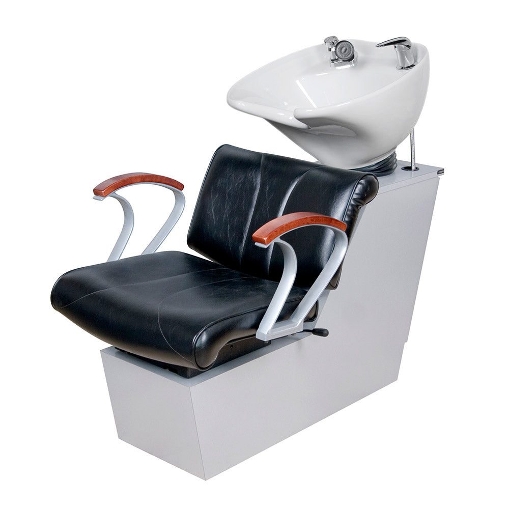 81BWS Backwash Shampoo Unit USA Made