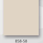 858-58 Pumice +$69.00