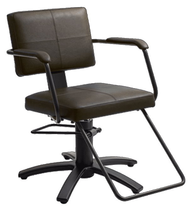 ST-N100 SHIKI Styling Chair Imported From Japan