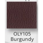 Burgundy $0.00
