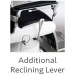 Please Add A Additional Reclining Lever (left) d +$180.00