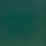 Grade 1 Forest PAT-8571 $0.00