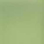 Grade 1 Granny Smith PAT-8624 $0.00