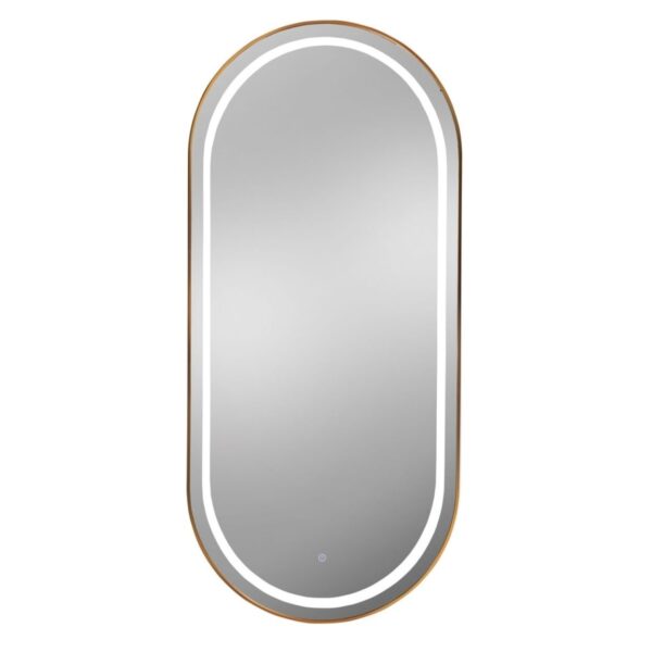 30X66 Oval Large LED Lighted Wall Mirror