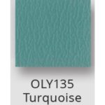 Turquoise $0.00